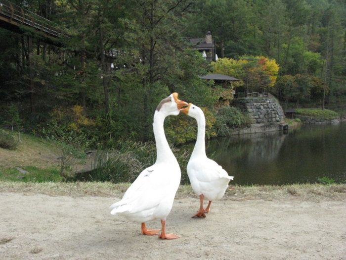 대전만인산 상소동IMG_2801.JPG
