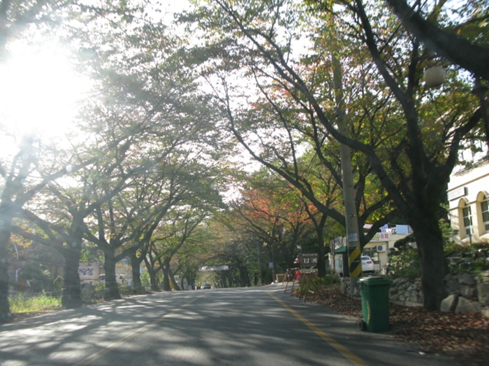 대전 예쁜 찻집IMG_2897.JPG
