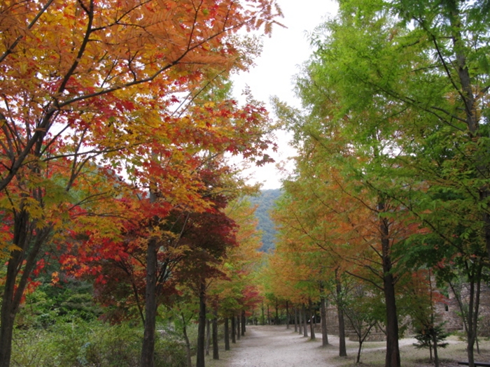 대전만인산 상소동IMG_2809.JPG