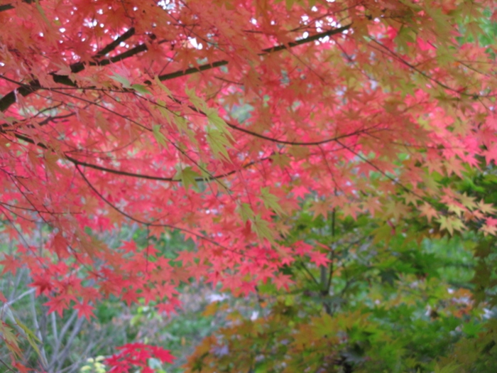 대전만인산 상소동IMG_2815.JPG
