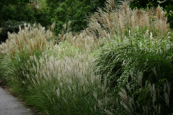 b-DSC01604.JPG