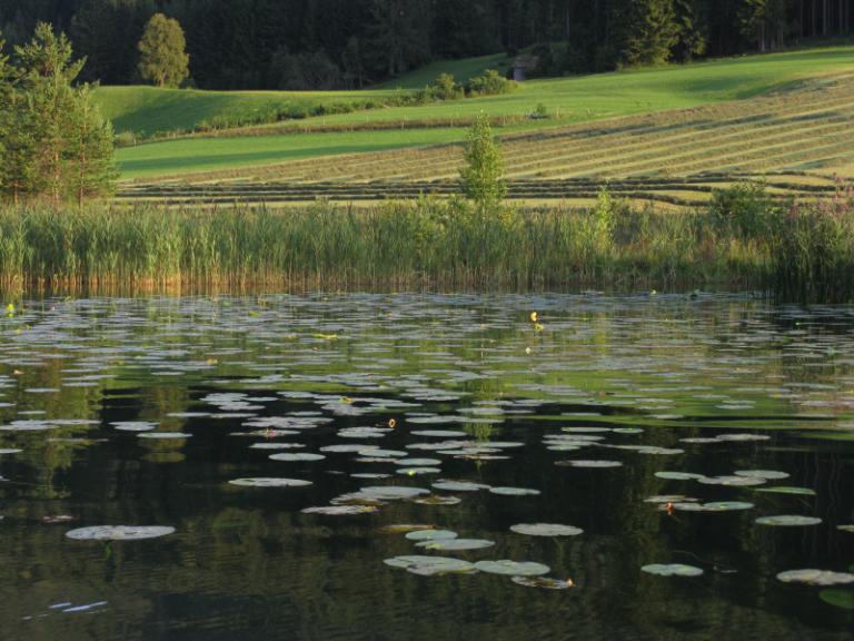weissensee 2IMG_5712.JPG
