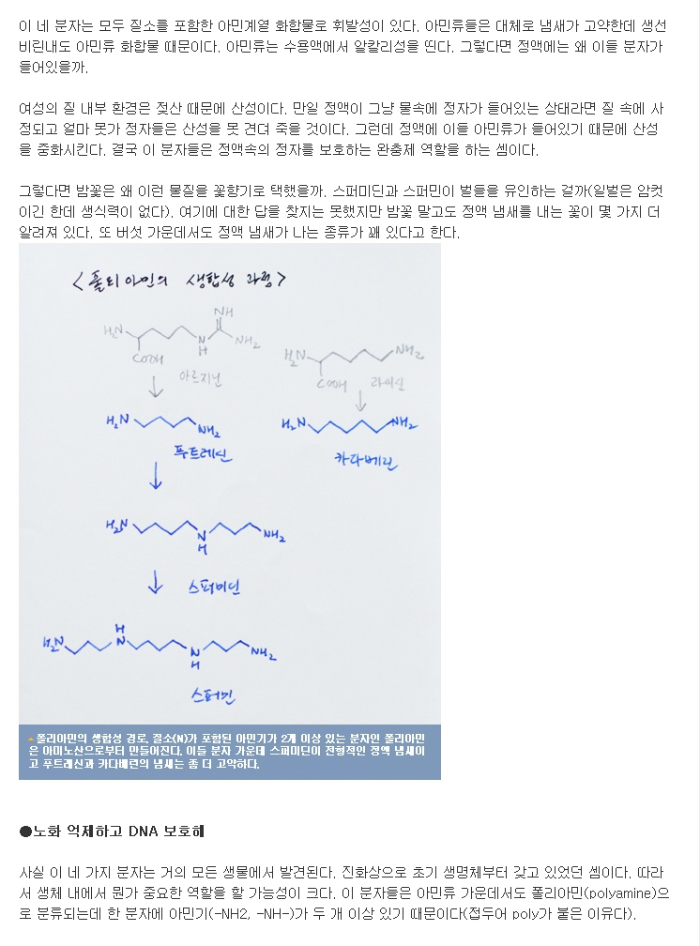 1309299309.jpg