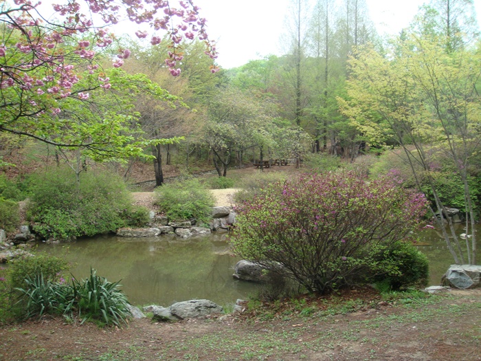 DSC03040.JPG