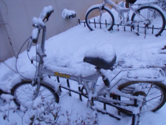 snow 040.JPG