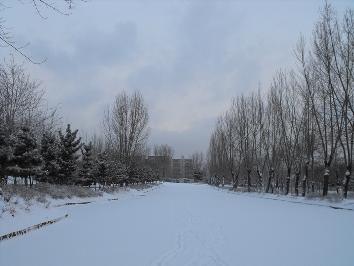 snow 064.JPG