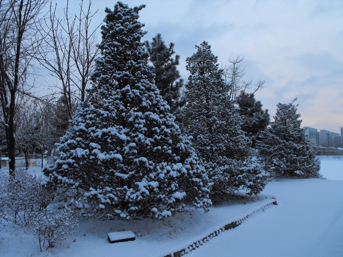 snow 074.JPG snow 074.JPG