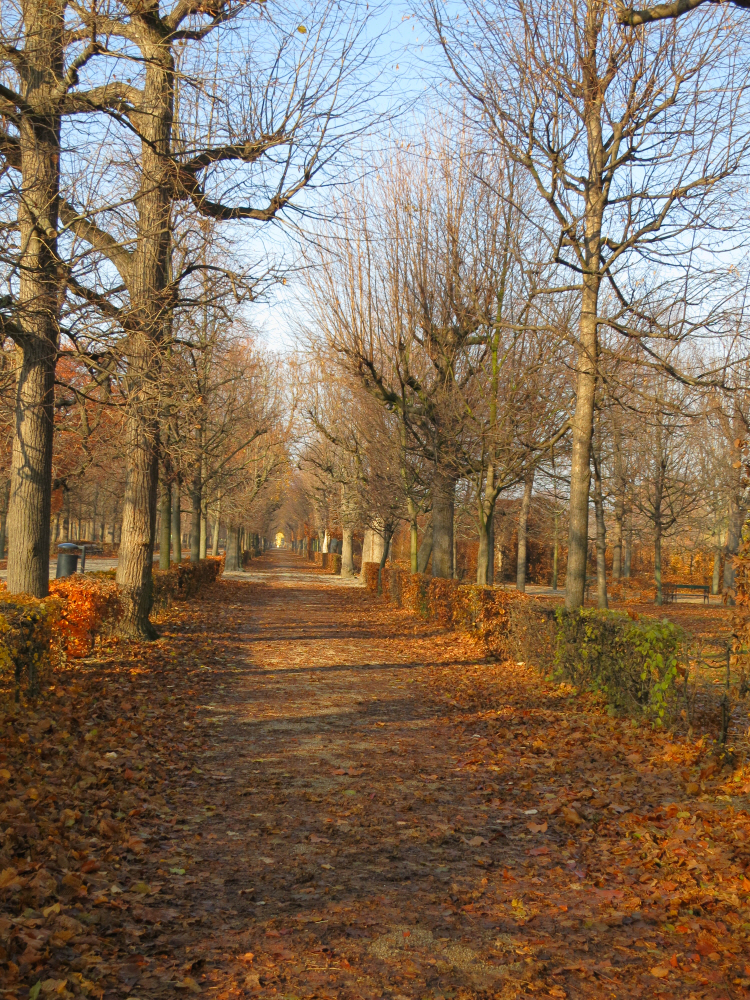Schoenbrunn_ November 1_3.JPG
