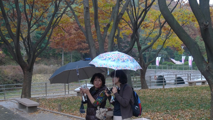 20091031-03.JPG