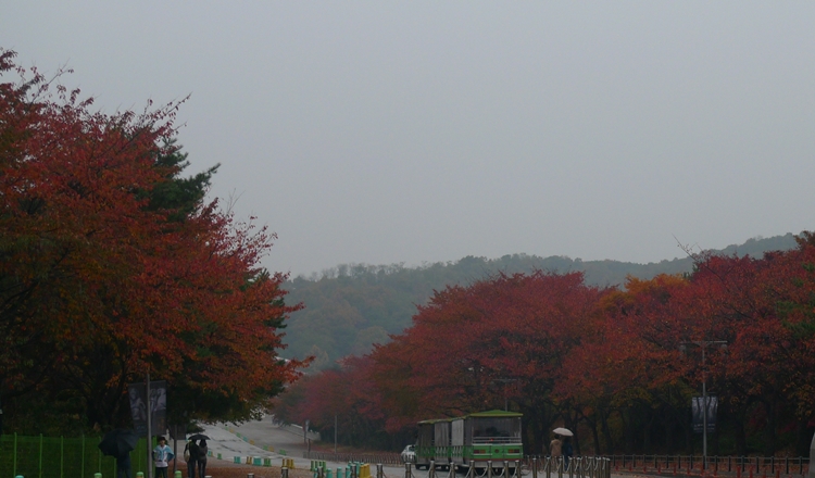 20091031-06.JPG