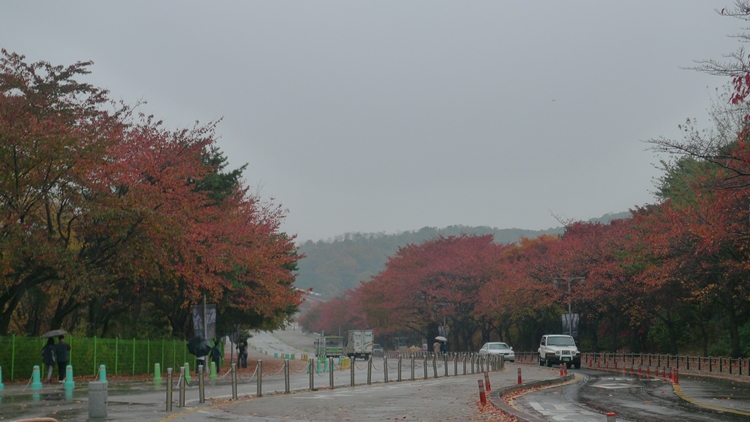 20091031-07.JPG