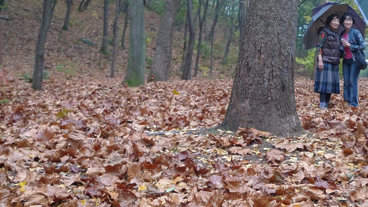 20091031-10.JPG