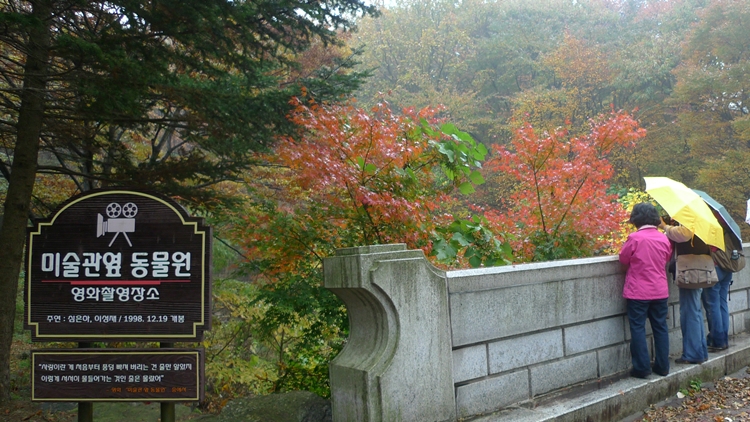20091031-11.JPG