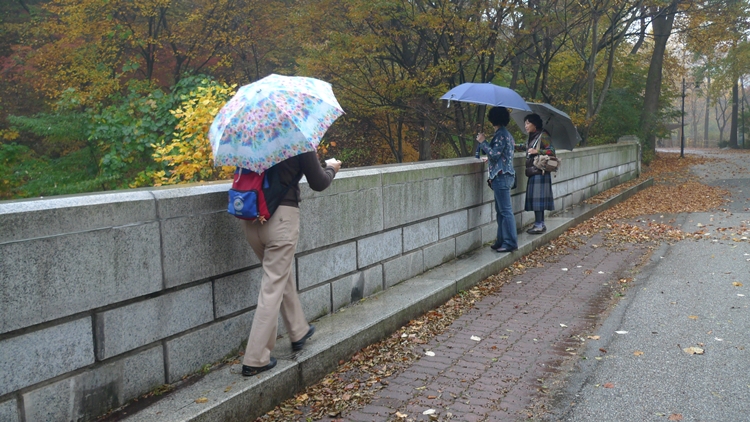 20091031-12.JPG