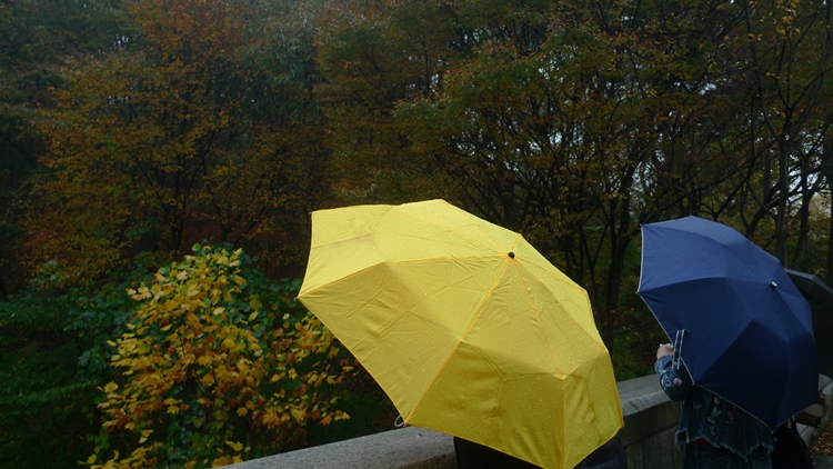 20091031-14.JPG