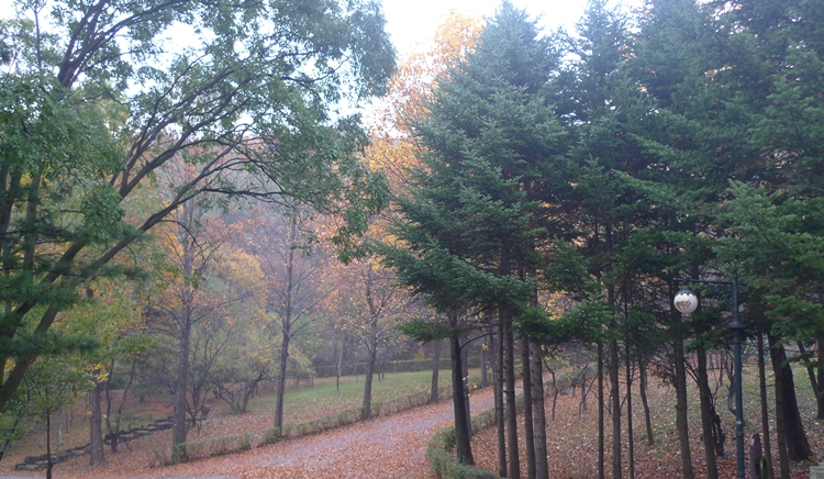 20091031-15.JPG