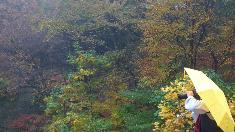 20091031-16.JPG
