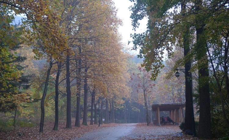 20091031-20.JPG