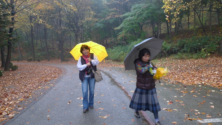 20091031-23.JPG