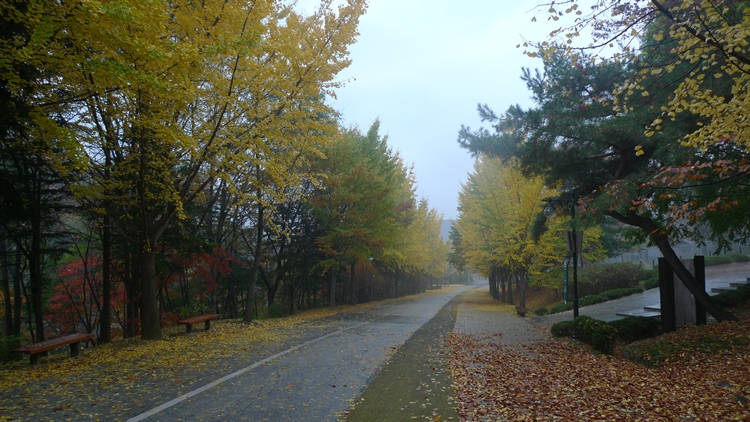 20091031-25.JPG