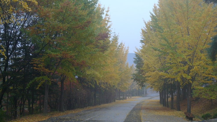 20091031-26.JPG