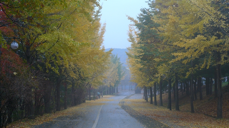 20091031-27.JPG