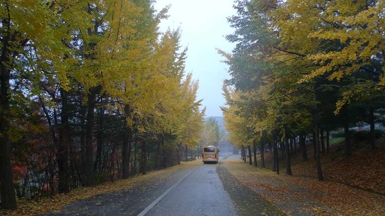 20091031-30.JPG