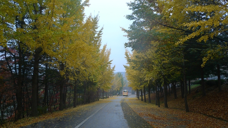 20091031-32.JPG