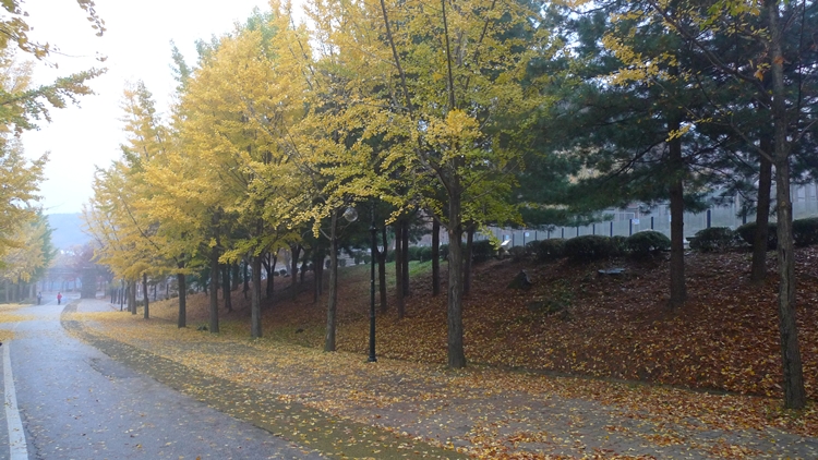 20091031-33.JPG