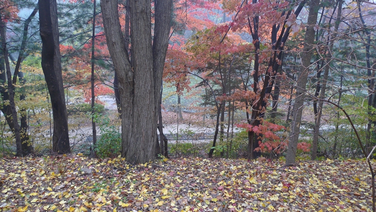 20091031-34.JPG