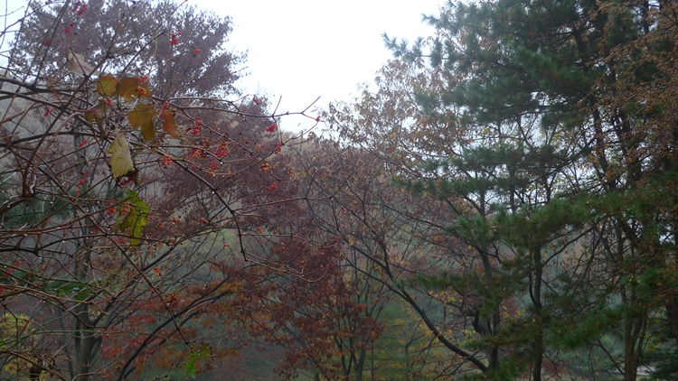 20091031-35.JPG