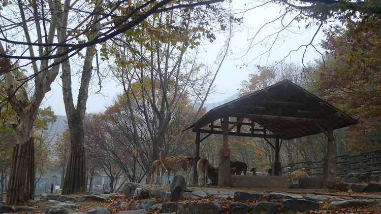 20091031-37.JPG