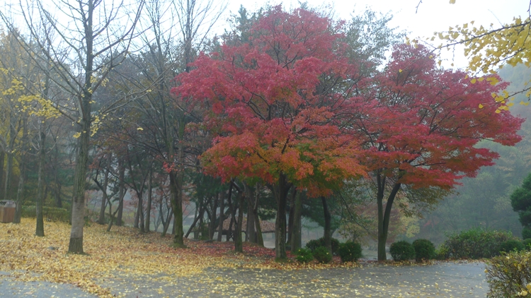 20091031-38.JPG