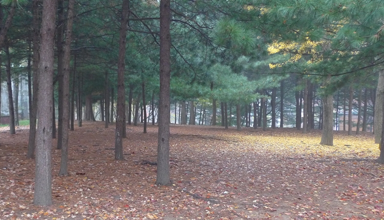 20091031-46.JPG