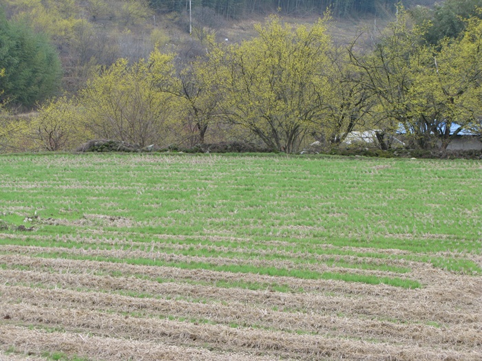 IMG_6771.JPG