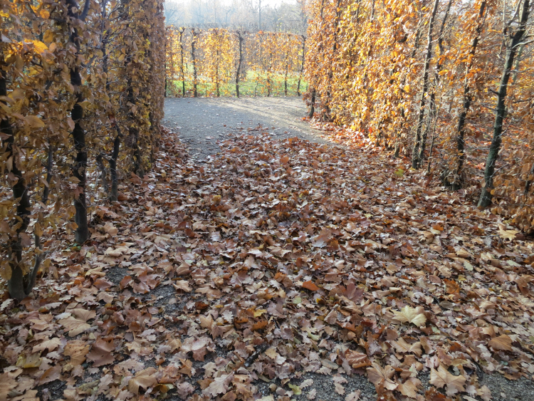 Schoenbrunn_ November  2_2.JPG