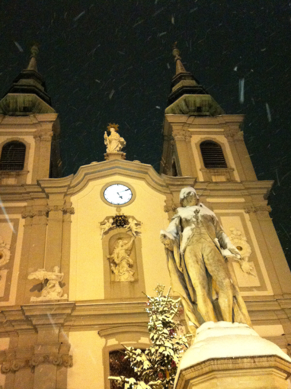 my love vienna with haydn 1.JPG
