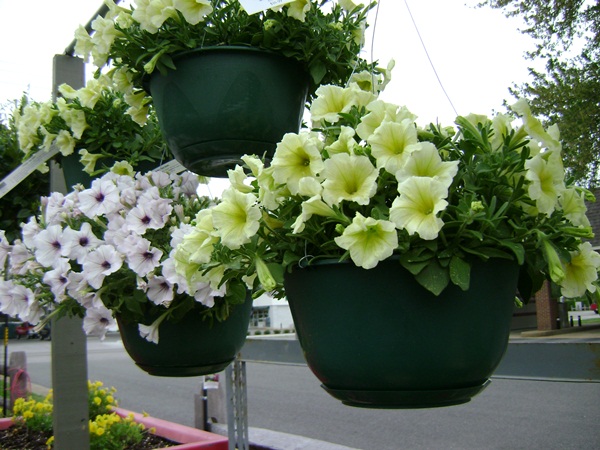 a-DSC03544.JPG
