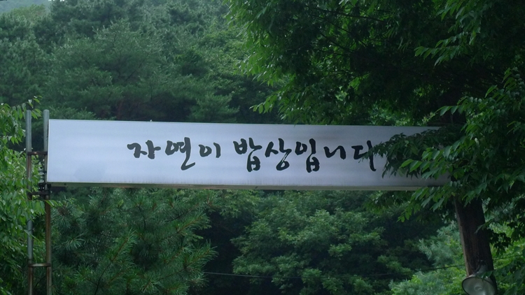 dm-20100723-01.JPG