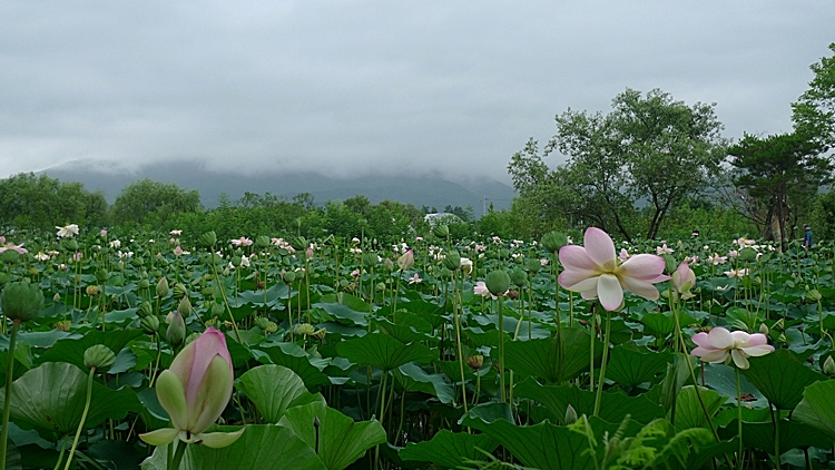 dm-20100723-26.JPG