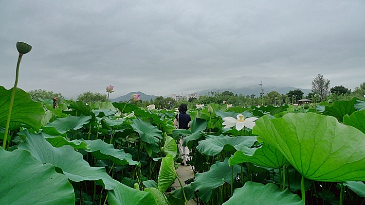 dm-20100723-30.JPG