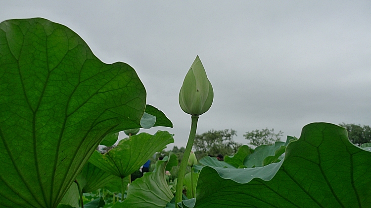 dm-20100723-34.JPG