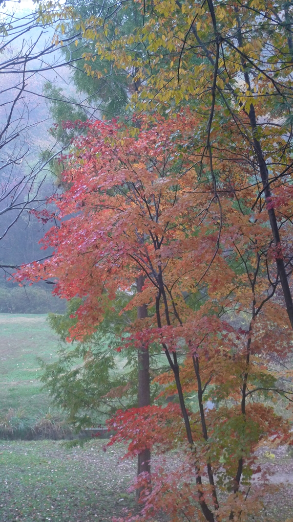 20091031-002.JPG