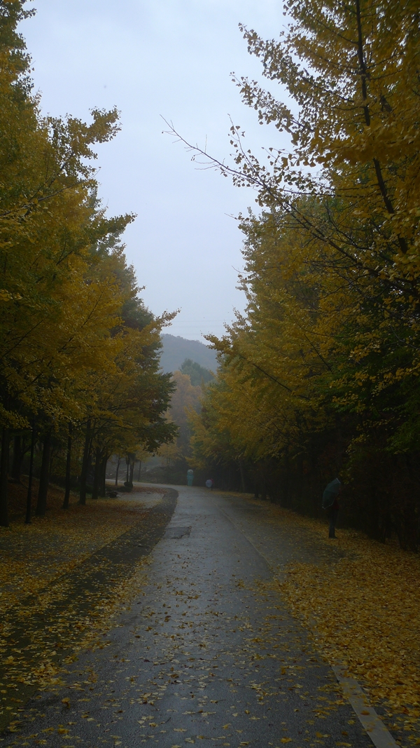 20091031-003.JPG