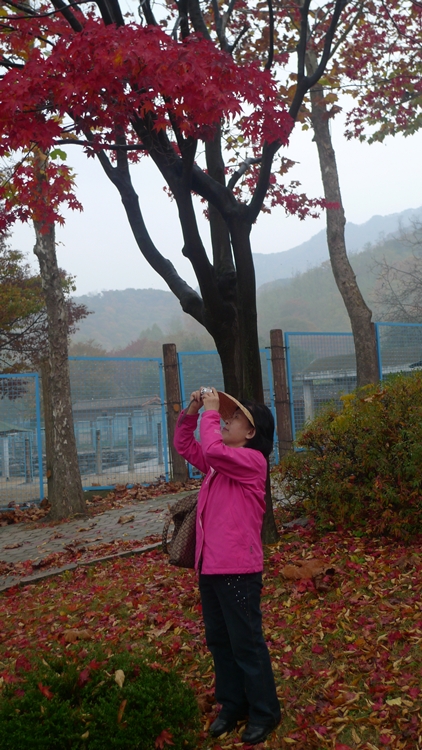 20091031-41.JPG
