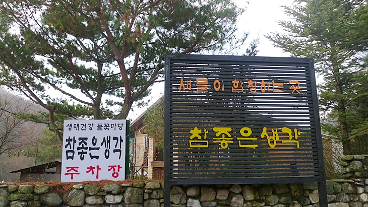P1060546.JPG