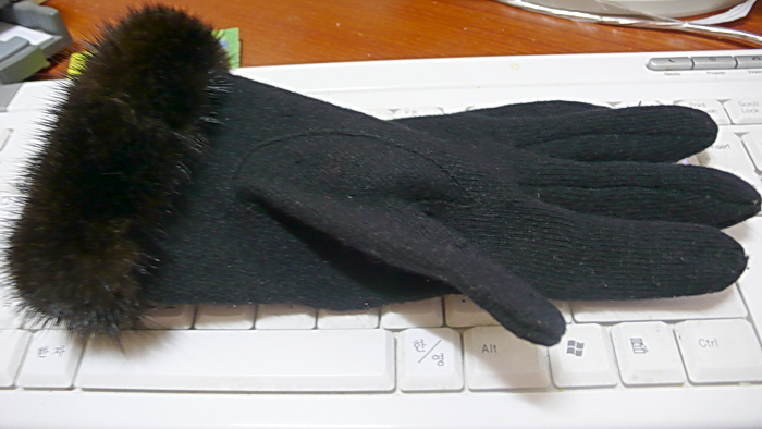 P1010672.jpg