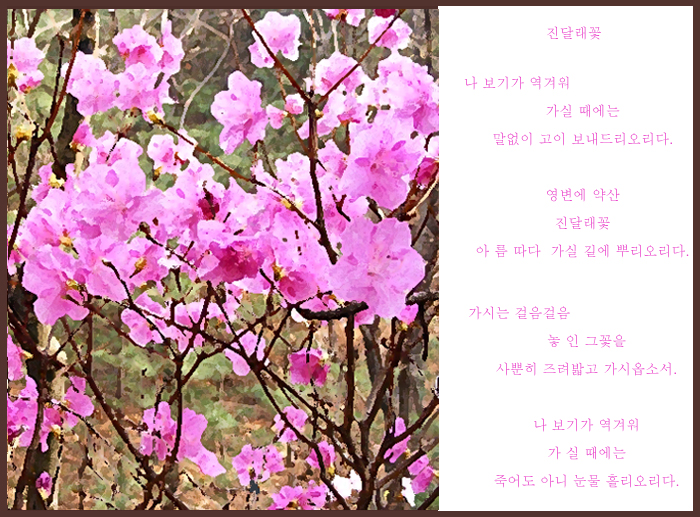 aza_poem.jpg