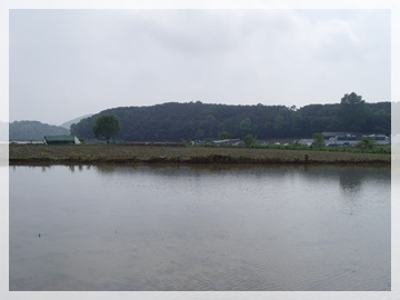 SNV30038.JPG