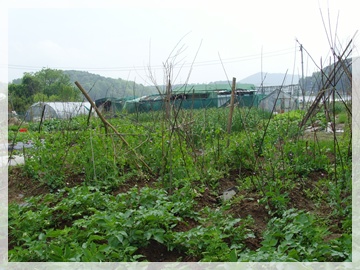 SNV30041.JPG
